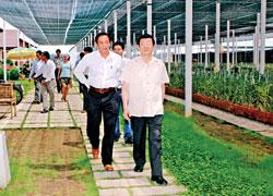 Thường trực Ban Bí thư Trương Tấn Sang làm việc tại TP.HCM:  Phát huy sức dân trong việc xây dựng nông thôn mới