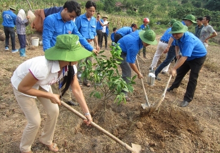 Bản tin Tình nguyện Tháng 8/2015: Dấu ấn của thanh niên trong mùa hè tình nguyện
